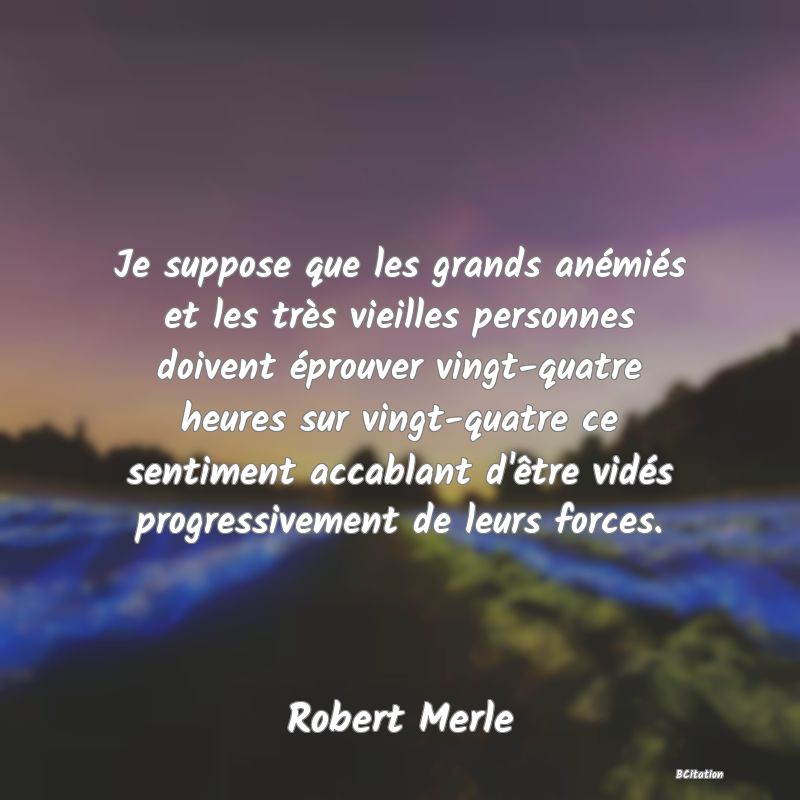 image de citation: Je suppose que les grands anémiés et les très vieilles personnes doivent éprouver vingt-quatre heures sur vingt-quatre ce sentiment accablant d'être vidés progressivement de leurs forces.