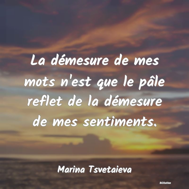 image de citation: La démesure de mes mots n'est que le pâle reflet de la démesure de mes sentiments.