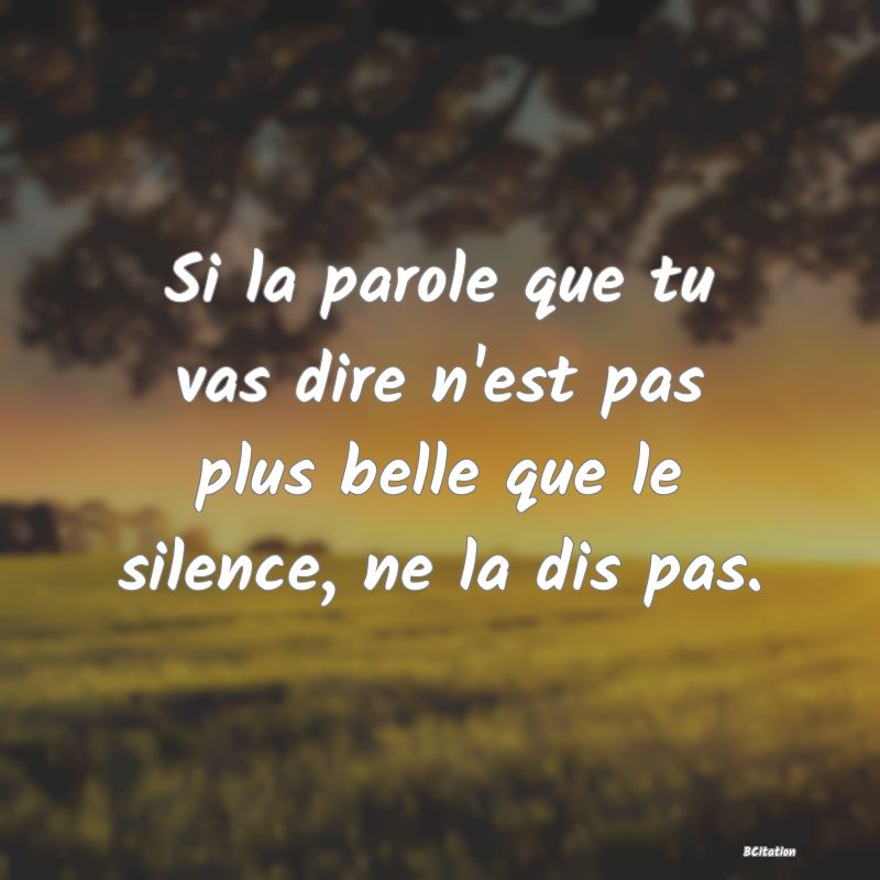 image de citation: Si la parole que tu vas dire n'est pas plus belle que le silence, ne la dis pas.