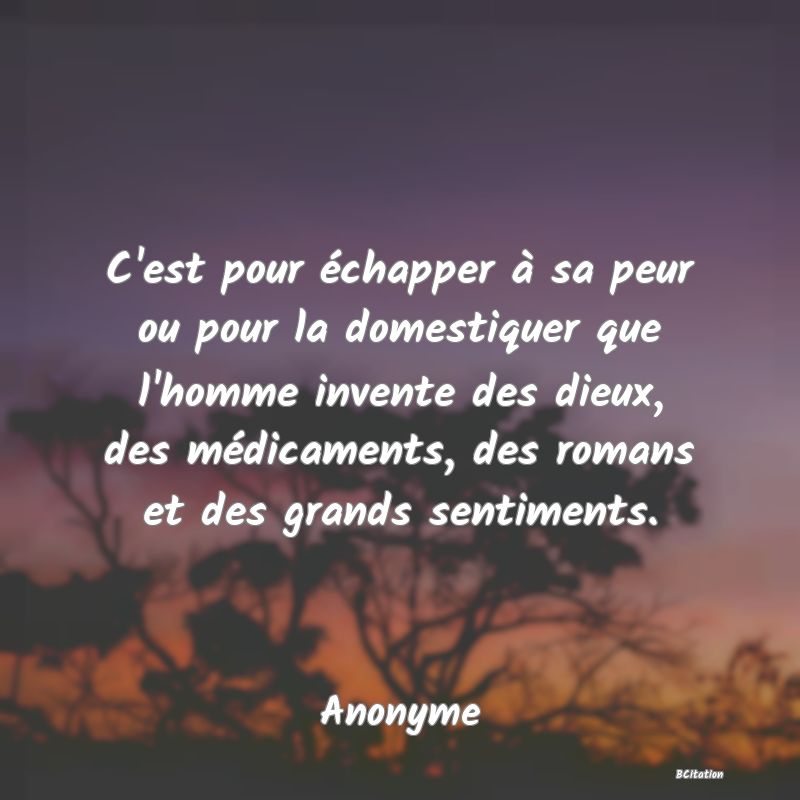 image de citation: C'est pour échapper à sa peur ou pour la domestiquer que l'homme invente des dieux, des médicaments, des romans et des grands sentiments.