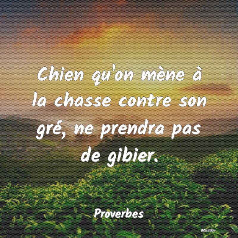 Belle Citation - Chien qu'on mène à la chasse contre son gré, ne prendra pas de gibier. - Proverbes