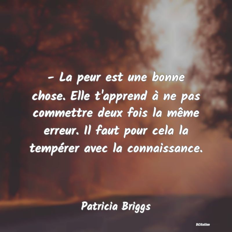 image de citation: - La peur est une bonne chose. Elle t'apprend à ne pas commettre deux fois la même erreur. Il faut pour cela la tempérer avec la connaissance.