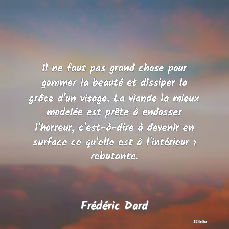 image de citation: Il ne faut pas grand chose pour gommer la beauté et dissiper la grâce d'un visage. La viande la mieux modelée est prête à endosser l'horreur, c'est-à-dire à devenir en surface ce qu'elle est à l'intérieur : rebutante.