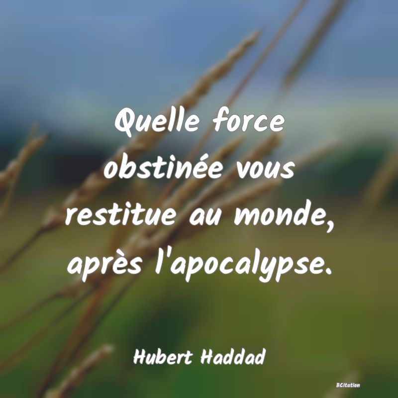 image de citation: Quelle force obstinée vous restitue au monde, après l'apocalypse.