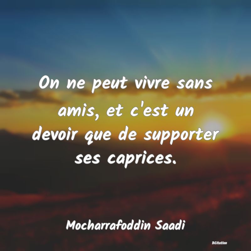 image de citation: On ne peut vivre sans amis, et c'est un devoir que de supporter ses caprices.