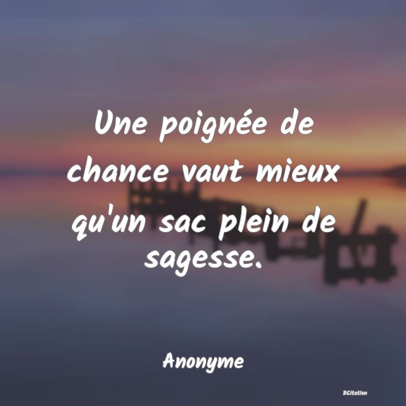 Belle Citation - Une poignée de chance vaut mieux qu'un sac plein de sagesse. - Anonyme