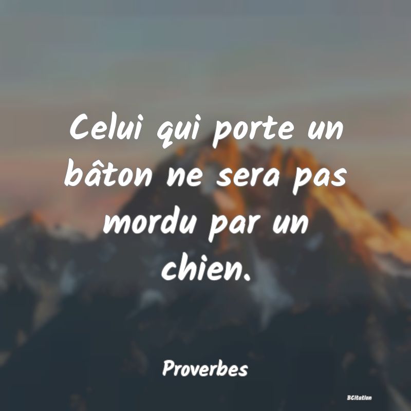 Belle Citation - Celui qui porte un bâton ne sera pas mordu par un chien. - Proverbes