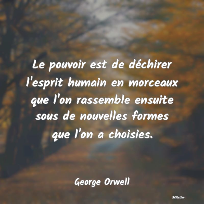 image de citation: Le pouvoir est de déchirer l'esprit humain en morceaux que l'on rassemble ensuite sous de nouvelles formes que l'on a choisies.