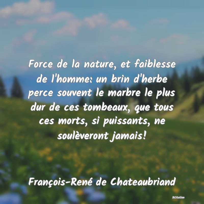 Belle Citation - Force de la nature, et faiblesse de l'homme: un brin d'herbe perce souvent le marbre le plus dur de ces tombeaux, que tous ces morts, si puissants, ne soulèveront jamais! - François-René de Chateaubriand