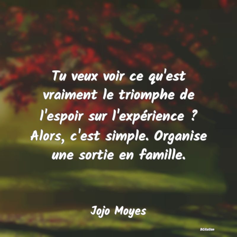 image de citation: Tu veux voir ce qu'est vraiment le triomphe de l'espoir sur l'expérience ? Alors, c'est simple. Organise une sortie en famille.