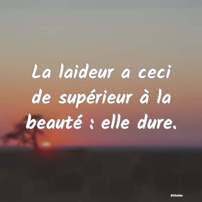 image de citation: La laideur a ceci de supérieur à la beauté : elle dure.