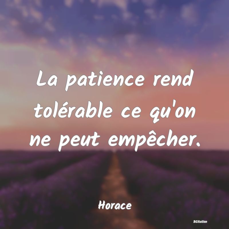 image de citation: La patience rend tolérable ce qu'on ne peut empêcher.
