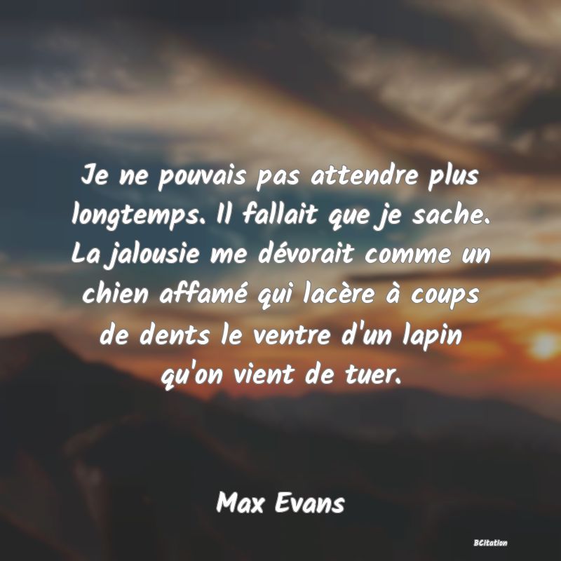 image de citation: Je ne pouvais pas attendre plus longtemps. Il fallait que je sache. La jalousie me dévorait comme un chien affamé qui lacère à coups de dents le ventre d'un lapin qu'on vient de tuer.