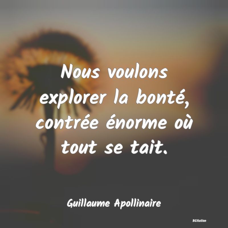 image de citation: Nous voulons explorer la bonté, contrée énorme où tout se tait.