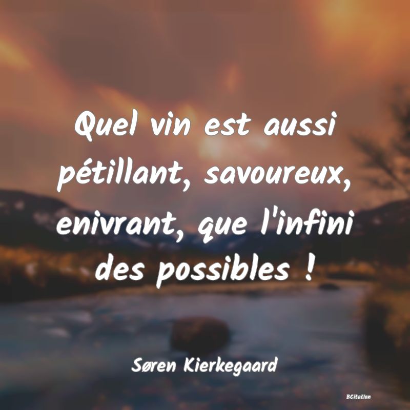 image de citation: Quel vin est aussi pétillant, savoureux, enivrant, que l'infini des possibles !