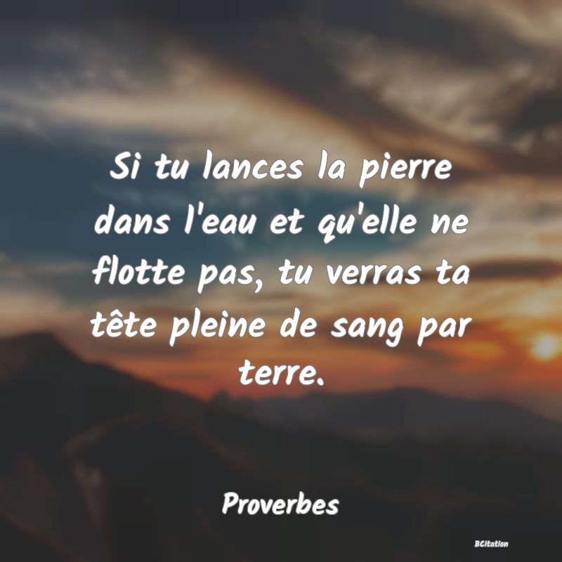 image de citation: Si tu lances la pierre dans l'eau et qu'elle ne flotte pas, tu verras ta tête pleine de sang par terre.