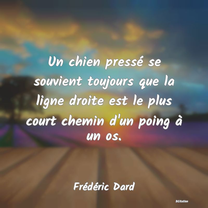 image de citation: Un chien pressé se souvient toujours que la ligne droite est le plus court chemin d'un poing à un os.