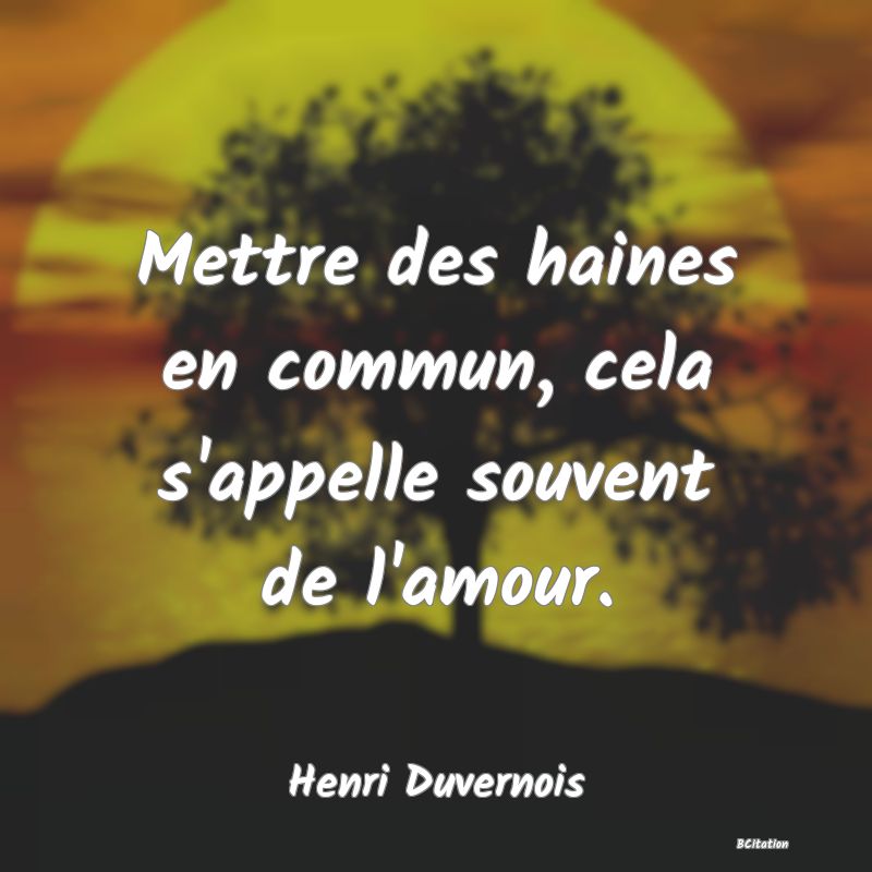 image de citation: Mettre des haines en commun, cela s'appelle souvent de l'amour.