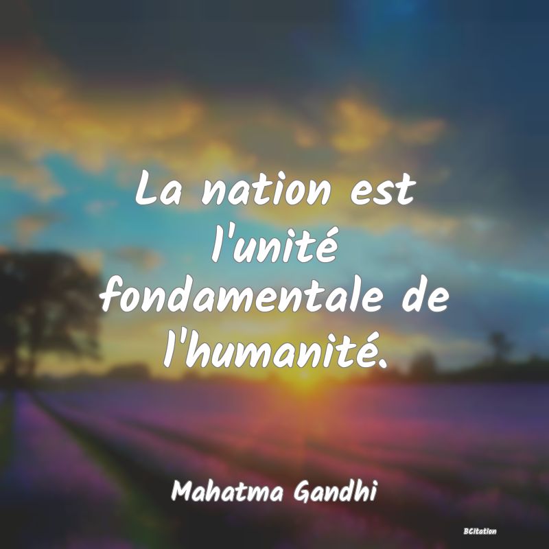 image de citation: La nation est l'unité fondamentale de l'humanité.