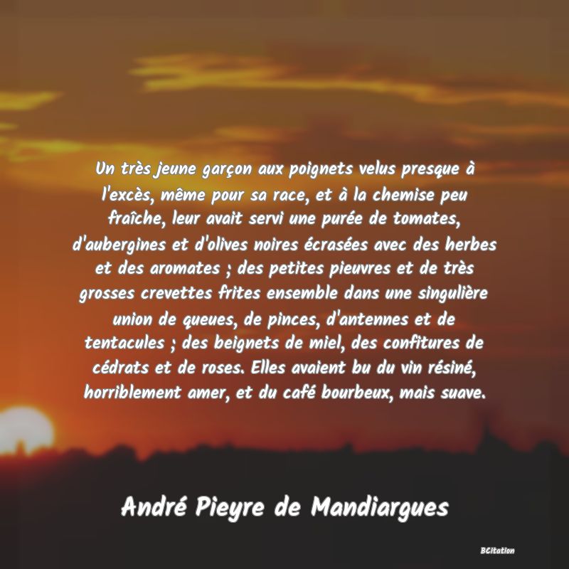 image de citation: Un très jeune garçon aux poignets velus presque à l'excès, même pour sa race, et à la chemise peu fraîche, leur avait servi une purée de tomates, d'aubergines et d'olives noires écrasées avec des herbes et des aromates ; des petites pieuvres et de très grosses crevettes frites ensemble dans une singulière union de queues, de pinces, d'antennes et de tentacules ; des beignets de miel, des confitures de cédrats et de roses. Elles avaient bu du vin résiné, horriblement amer, et du café bourbeux, mais suave.