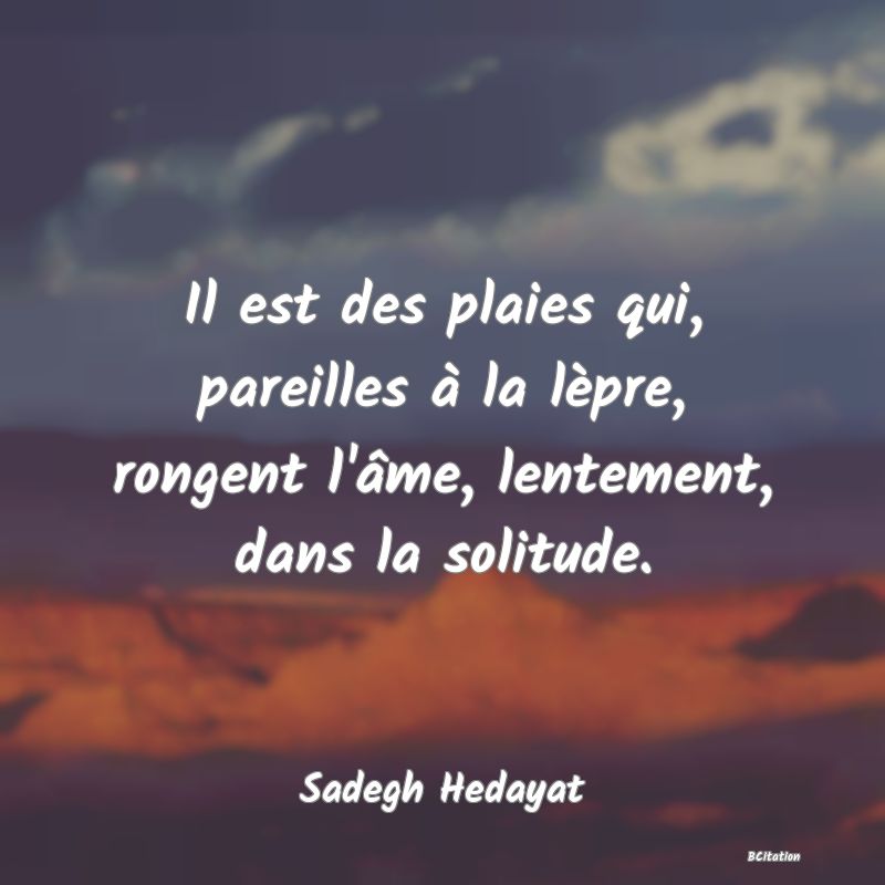 image de citation: Il est des plaies qui, pareilles à la lèpre, rongent l'âme, lentement, dans la solitude.