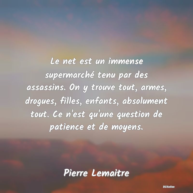 image de citation: Le net est un immense supermarché tenu par des assassins. On y trouve tout, armes, drogues, filles, enfants, absolument tout. Ce n'est qu'une question de patience et de moyens.