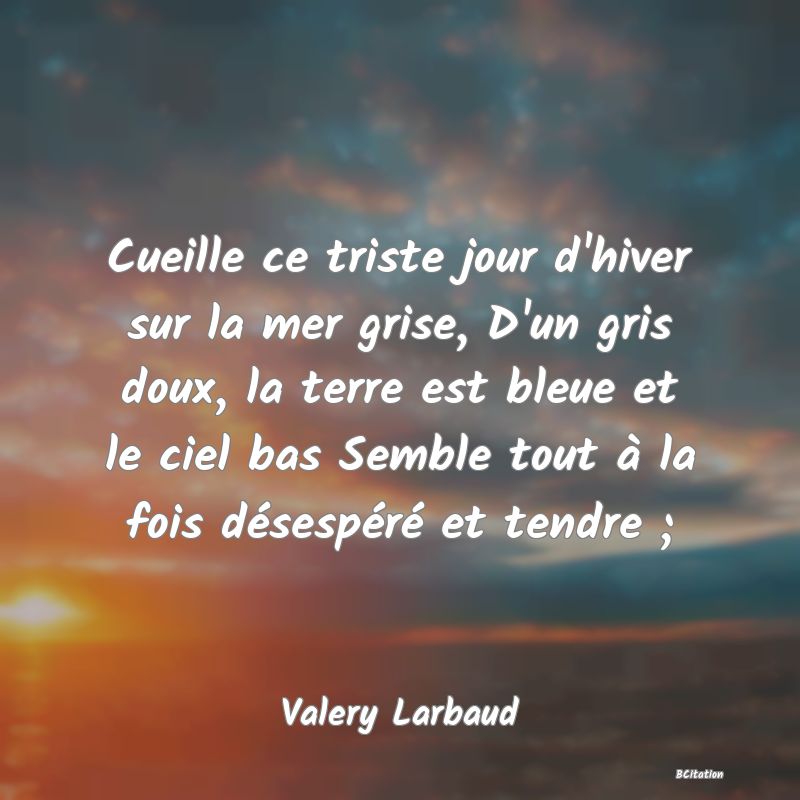 image de citation: Cueille ce triste jour d'hiver sur la mer grise, D'un gris doux, la terre est bleue et le ciel bas Semble tout à la fois désespéré et tendre ;