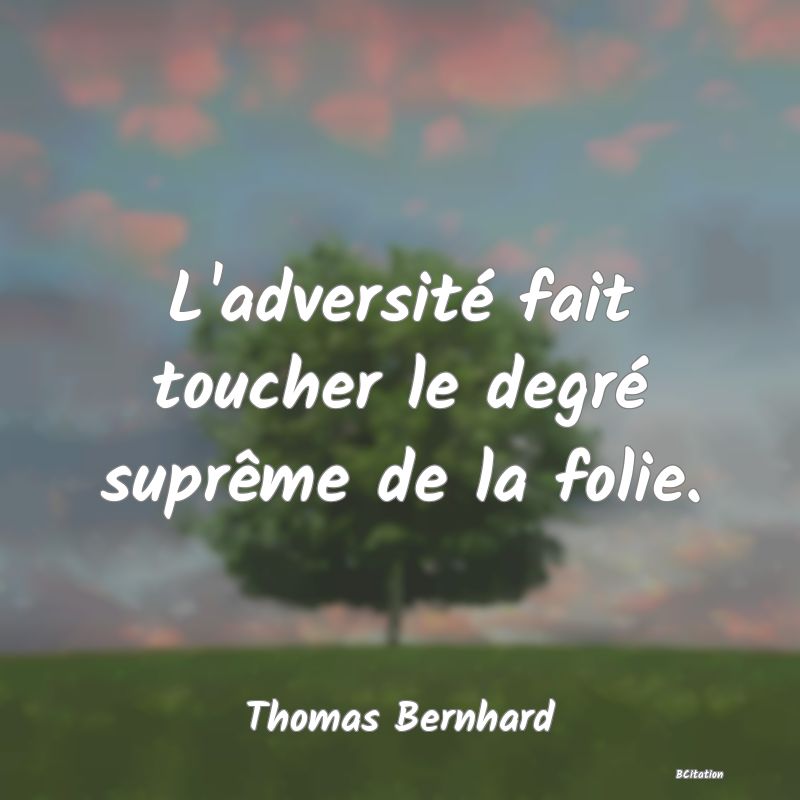 image de citation: L'adversité fait toucher le degré suprême de la folie.