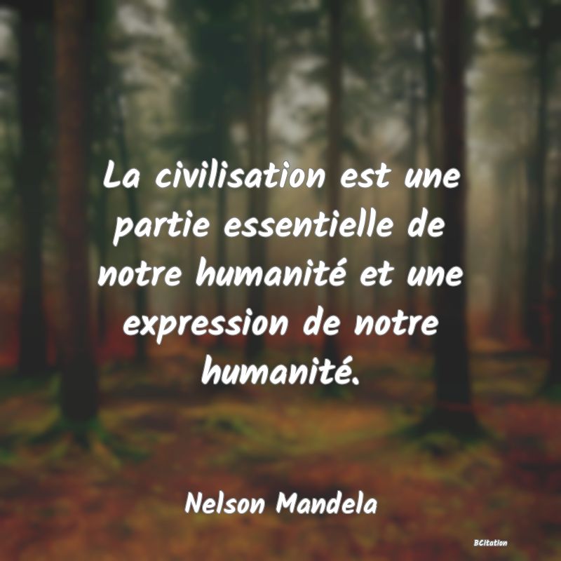 image de citation: La civilisation est une partie essentielle de notre humanité et une expression de notre humanité.