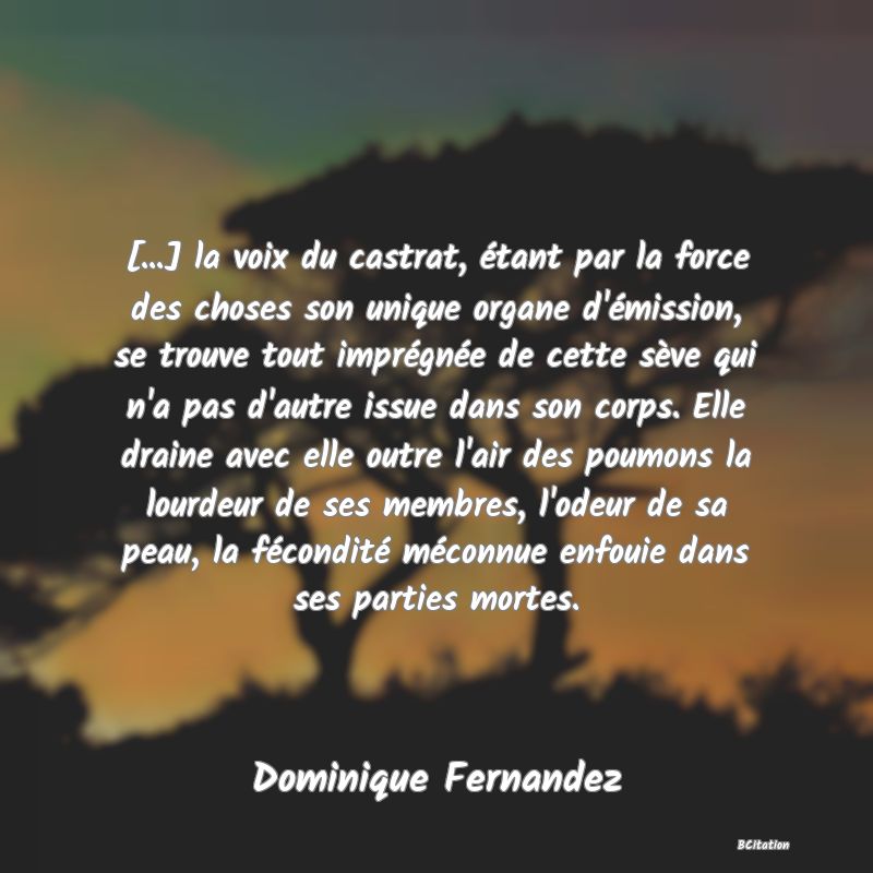 image de citation: [...] la voix du castrat, étant par la force des choses son unique organe d'émission, se trouve tout imprégnée de cette sève qui n'a pas d'autre issue dans son corps. Elle draine avec elle outre l'air des poumons la lourdeur de ses membres, l'odeur de sa peau, la fécondité méconnue enfouie dans ses parties mortes.