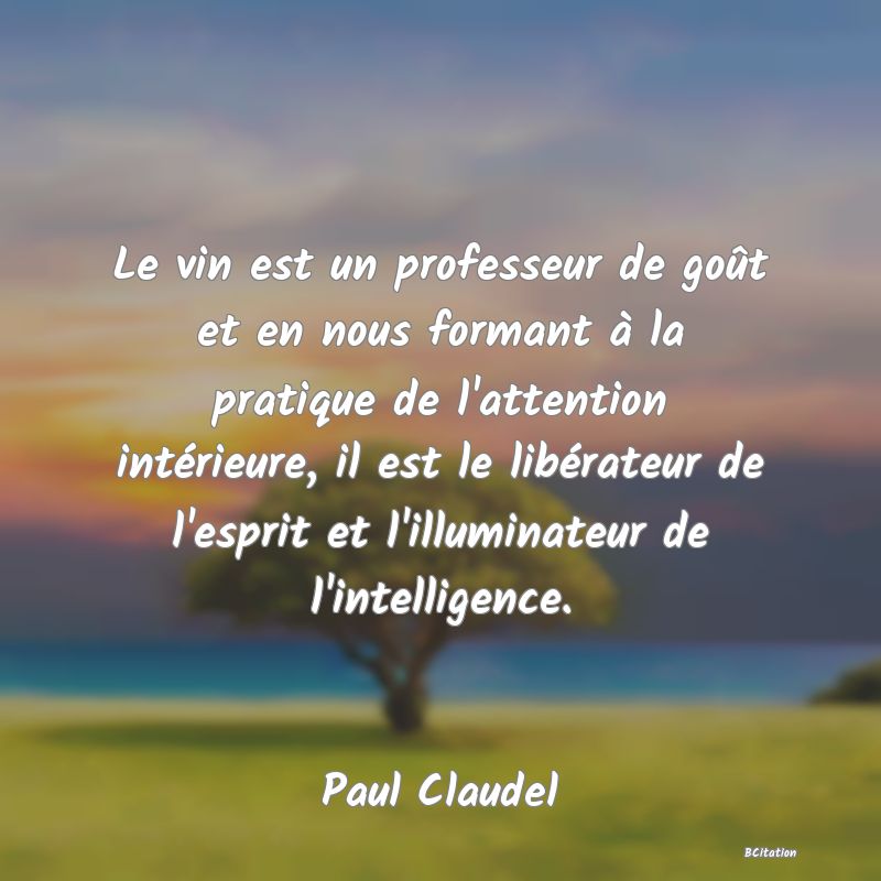 image de citation: Le vin est un professeur de goût et en nous formant à la pratique de l'attention intérieure, il est le libérateur de l'esprit et l'illuminateur de l'intelligence.