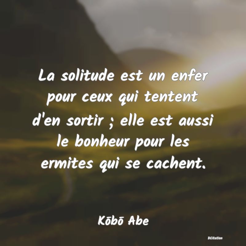 image de citation: La solitude est un enfer pour ceux qui tentent d'en sortir ; elle est aussi le bonheur pour les ermites qui se cachent.