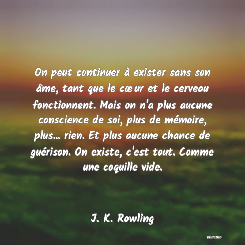 image de citation: On peut continuer à exister sans son âme, tant que le cœur et le cerveau fonctionnent. Mais on n'a plus aucune conscience de soi, plus de mémoire, plus... rien. Et plus aucune chance de guérison. On existe, c'est tout. Comme une coquille vide.