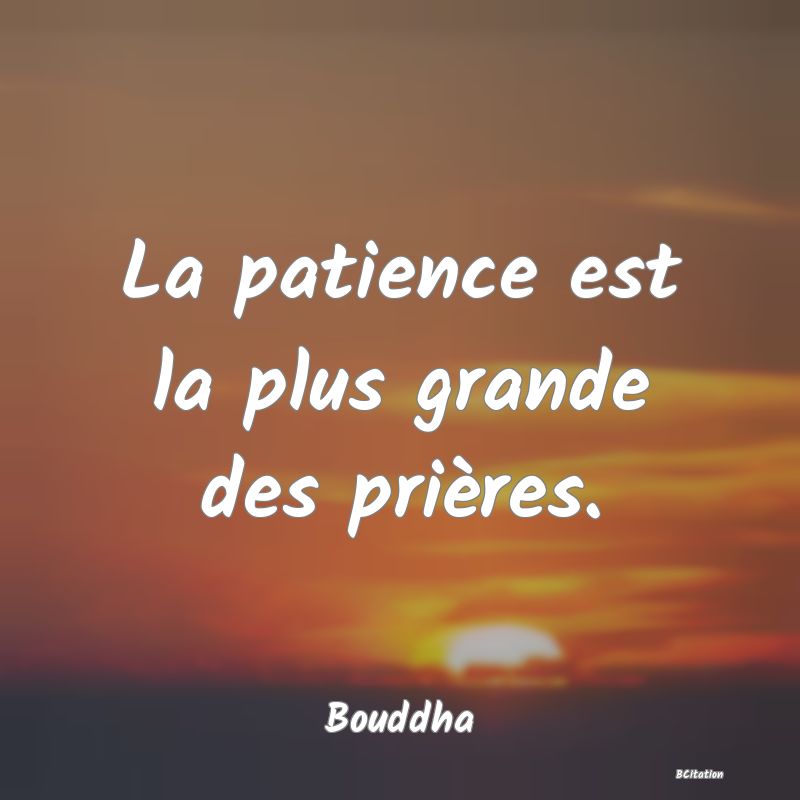 image de citation: La patience est la plus grande des prières.