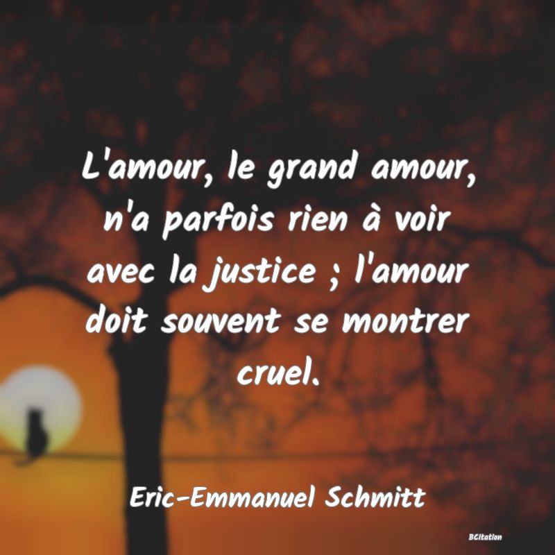 image de citation: L'amour, le grand amour, n'a parfois rien à voir avec la justice ; l'amour doit souvent se montrer cruel.