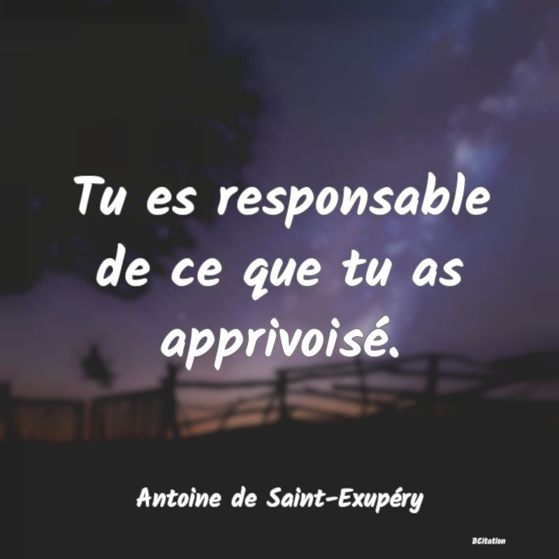 image de citation: Tu es responsable de ce que tu as apprivoisé.