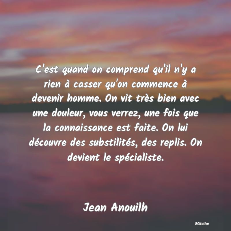 image de citation: C'est quand on comprend qu'il n'y a rien à casser qu'on commence à devenir homme. On vit très bien avec une douleur, vous verrez, une fois que la connaissance est faite. On lui découvre des substilités, des replis. On devient le spécialiste.