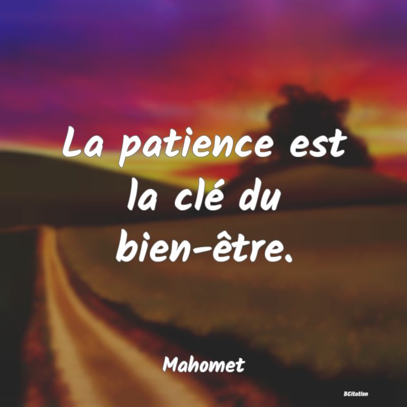 image de citation: La patience est la clé du bien-être.
