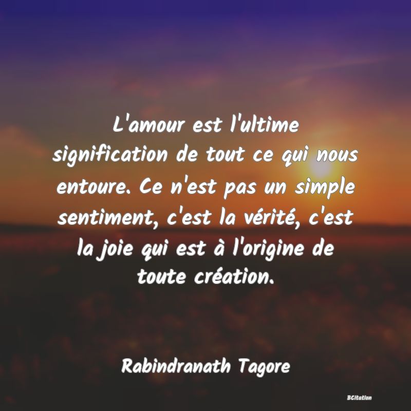 image de citation: L'amour est l'ultime signification de tout ce qui nous entoure. Ce n'est pas un simple sentiment, c'est la vérité, c'est la joie qui est à l'origine de toute création.