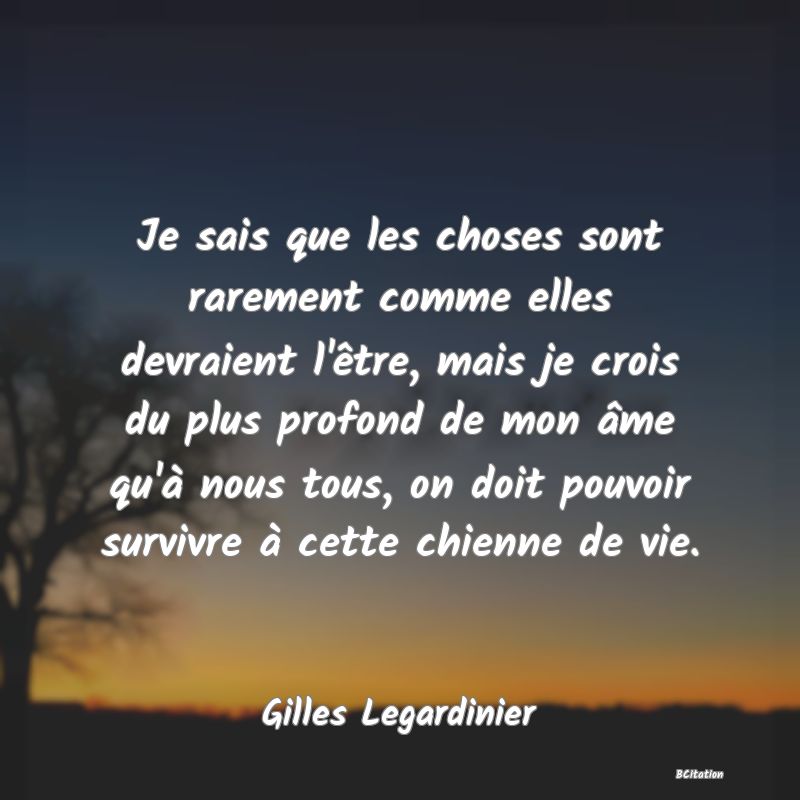 Belle Citation - Je sais que les choses sont rarement comme elles devraient l'être, mais je crois du plus profond de mon âme qu'à nous tous, on doit pouvoir survivre à cette chienne de vie. - Gilles Legardinier