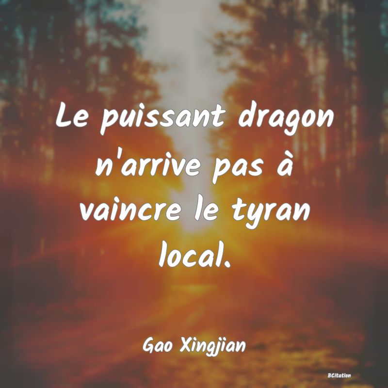 image de citation: Le puissant dragon n'arrive pas à vaincre le tyran local.