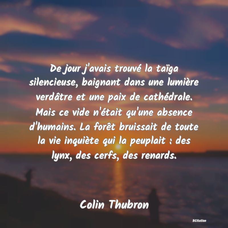 image de citation: De jour j'avais trouvé la taïga silencieuse, baignant dans une lumière verdâtre et une paix de cathédrale. Mais ce vide n'était qu'une absence d'humains. La forêt bruissait de toute la vie inquiète qui la peuplait : des lynx, des cerfs, des renards.