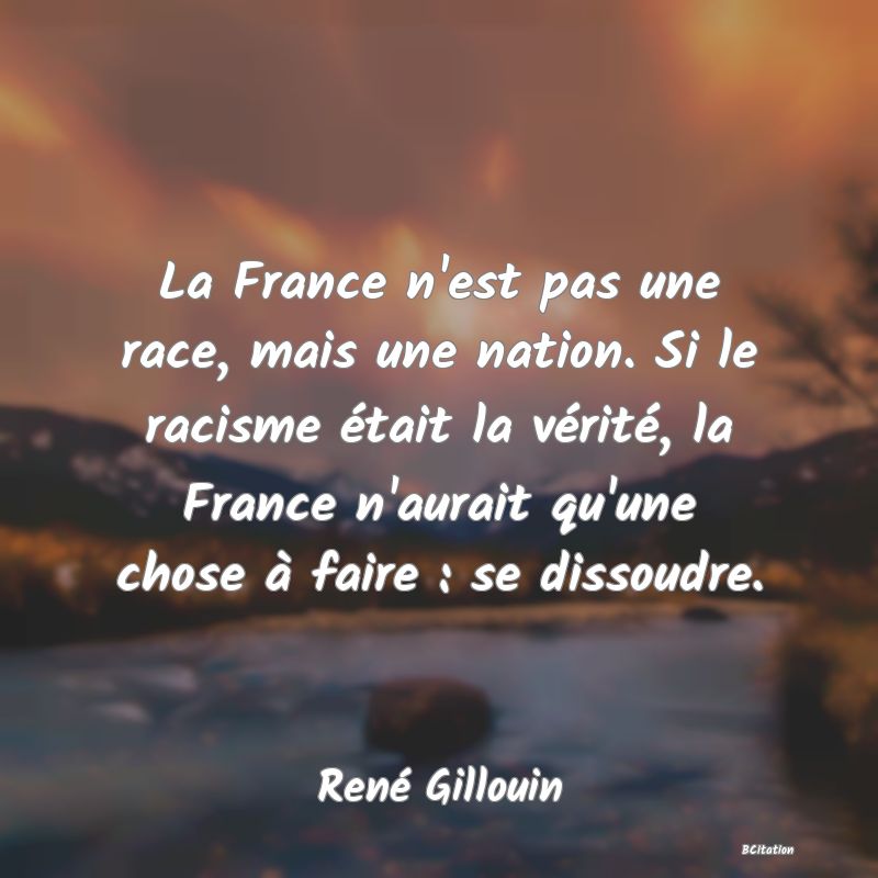 image de citation: La France n'est pas une race, mais une nation. Si le racisme était la vérité, la France n'aurait qu'une chose à faire : se dissoudre.