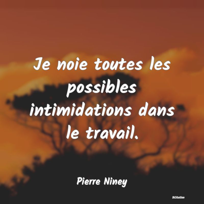 Belle Citation - Je noie toutes les possibles intimidations dans le travail. - Pierre Niney