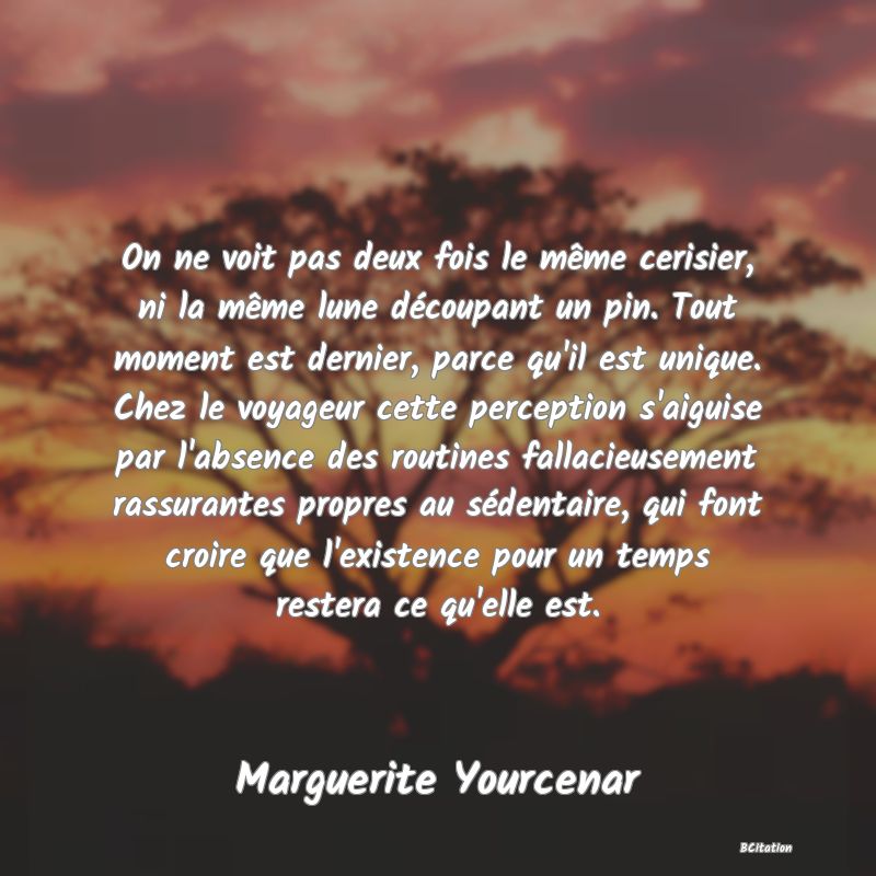 image de citation: On ne voit pas deux fois le même cerisier, ni la même lune découpant un pin. Tout moment est dernier, parce qu'il est unique. Chez le voyageur cette perception s'aiguise par l'absence des routines fallacieusement rassurantes propres au sédentaire, qui font croire que l'existence pour un temps restera ce qu'elle est.