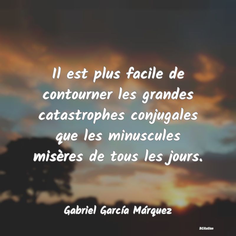 image de citation: Il est plus facile de contourner les grandes catastrophes conjugales que les minuscules misères de tous les jours.