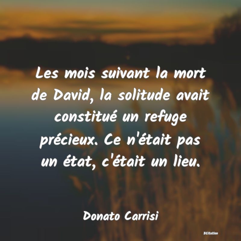 image de citation: Les mois suivant la mort de David, la solitude avait constitué un refuge précieux. Ce n'était pas un état, c'était un lieu.