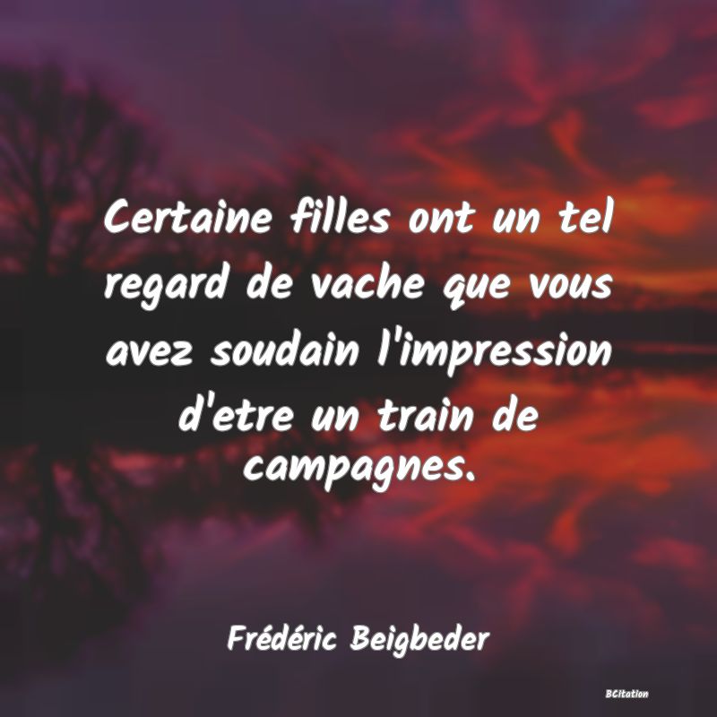 image de citation: Certaine filles ont un tel regard de vache que vous avez soudain l'impression d'etre un train de campagnes.