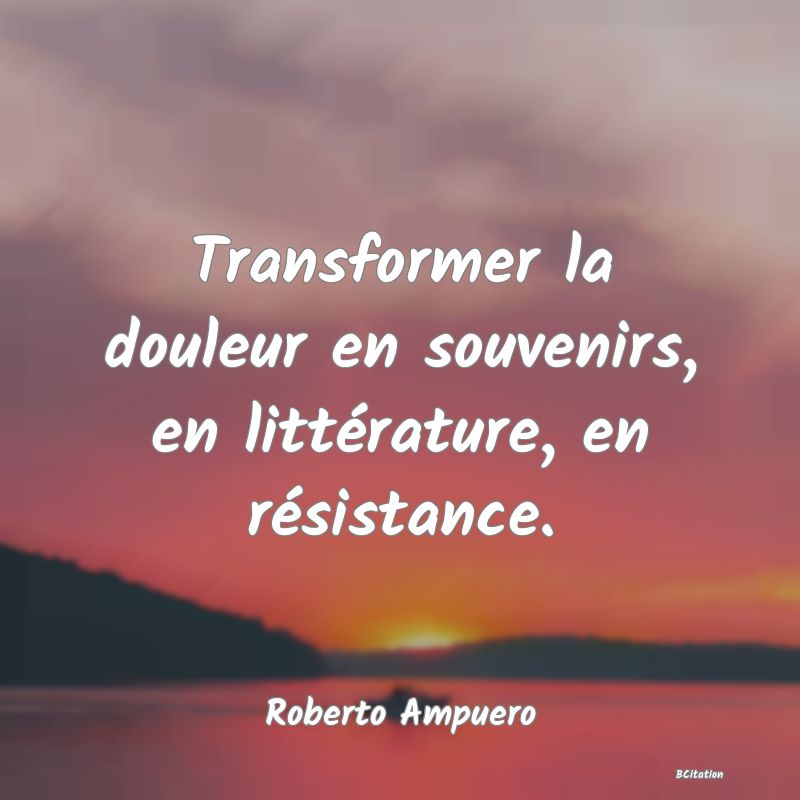 image de citation: Transformer la douleur en souvenirs, en littérature, en résistance.