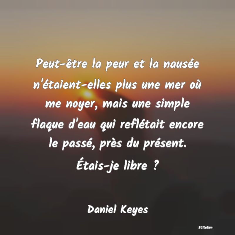 image de citation: Peut-être la peur et la nausée n'étaient-elles plus une mer où me noyer, mais une simple flaque d'eau qui reflétait encore le passé, près du présent. Étais-je libre ?